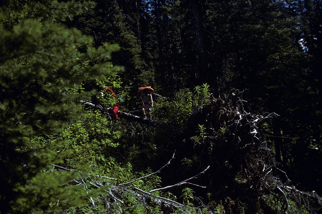 1977CRI34, ©Tim Medley
