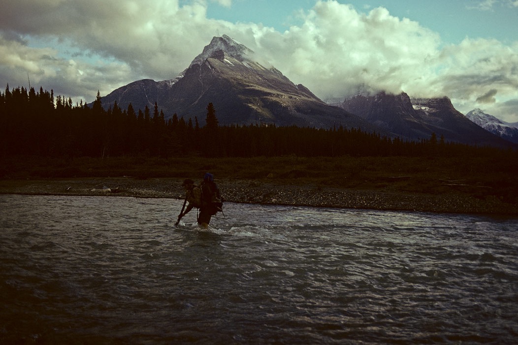 1981C00808, ©Tim Medley