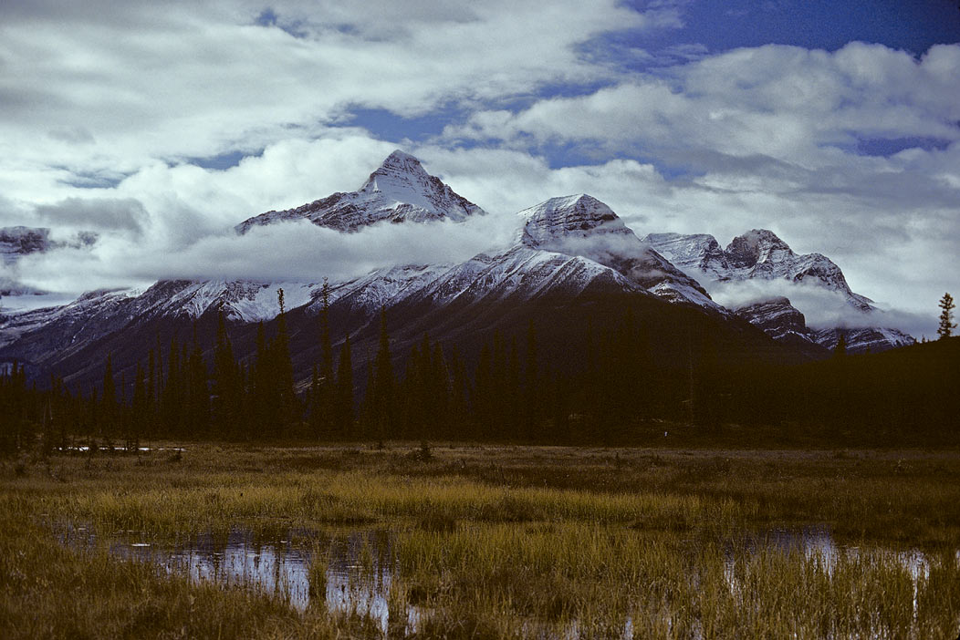 1982C00718, ©Tim Medley