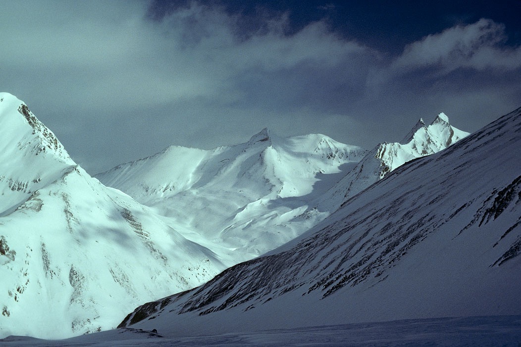 1984C00329, ©Tim Medley