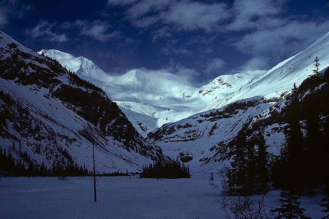 1984C00610, ©Tim Medley