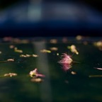 200607065118