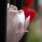 20140418P3M0169
