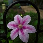 20160520Q0119.jpg