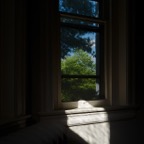 20160524Q0126.jpg