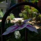 20160528Q0157.jpg