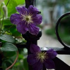 20160604Q0216.jpg