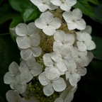 20160604Q0220.jpg