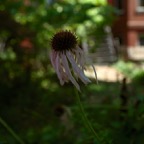 20160625Q0424.jpg