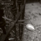 20161119Q0038.jpg