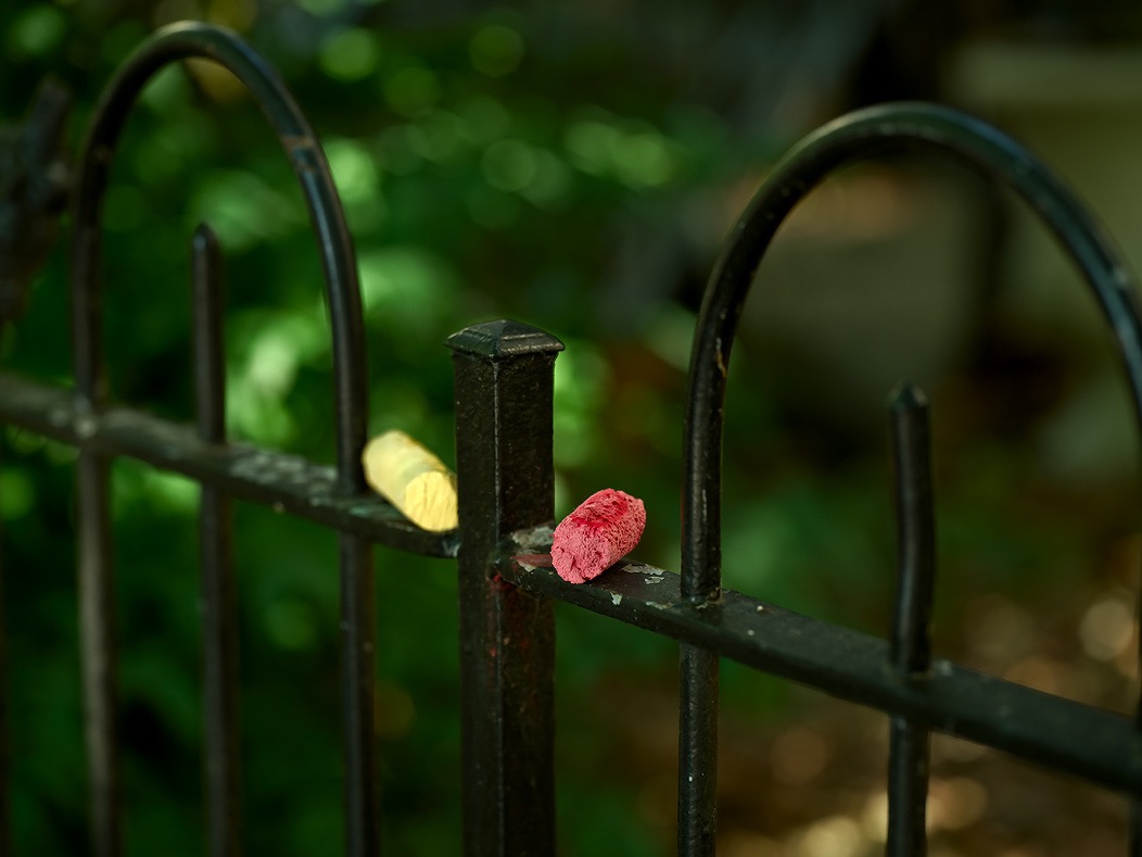 20240522X2D0859 ©Tim Medley - 