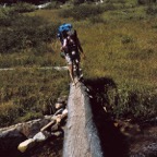 1993CA0313.jpg