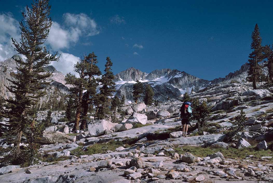 1993CA0315 ©Tim Medley - Mt. Izaak Walton, John Muir Wilderness, CA