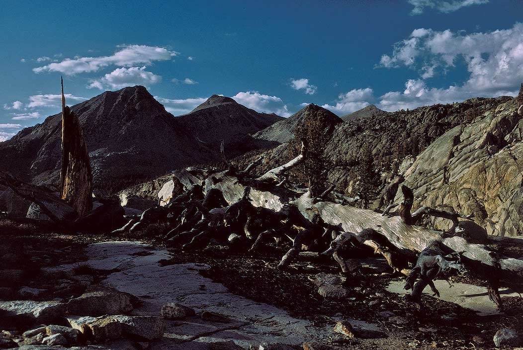 1993CA0327 ©Tim Medley - Lake Izaak Walton, John Muir Wilderness, CA