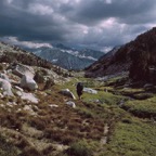 1993CA0411.jpg