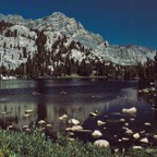 1993CA0629.jpg