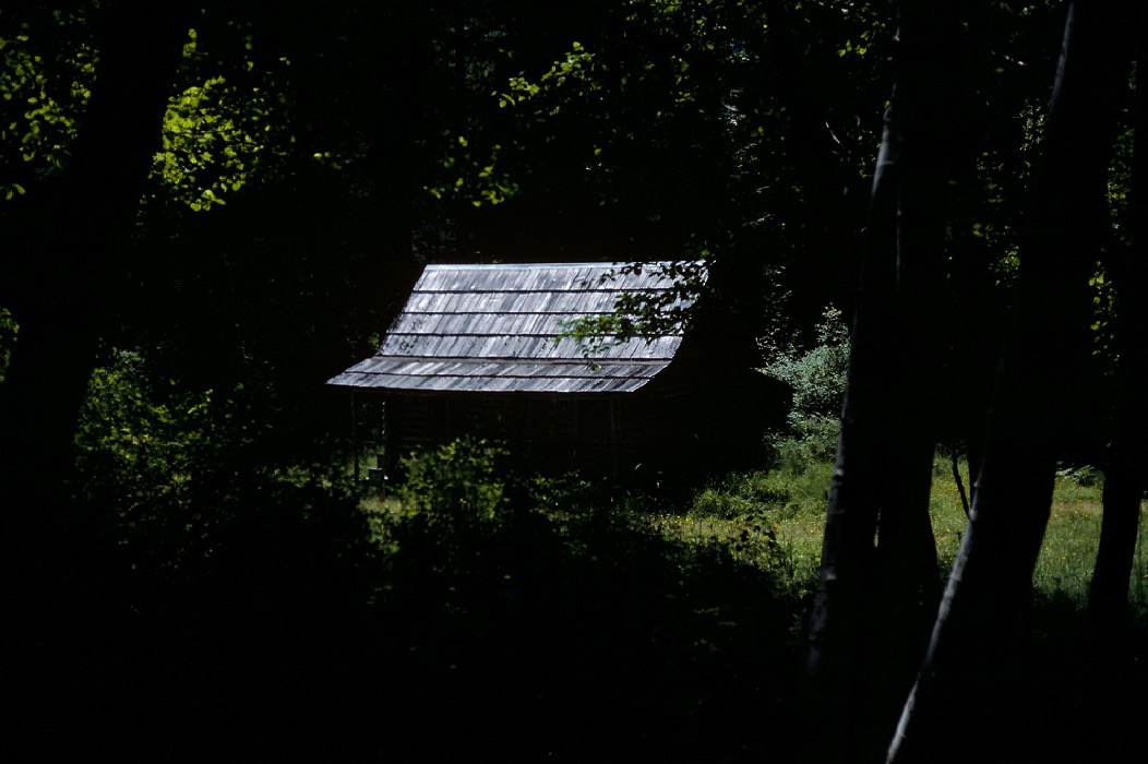 198706129 ©Tim Medley - Cabin, Olympic National Park, WA