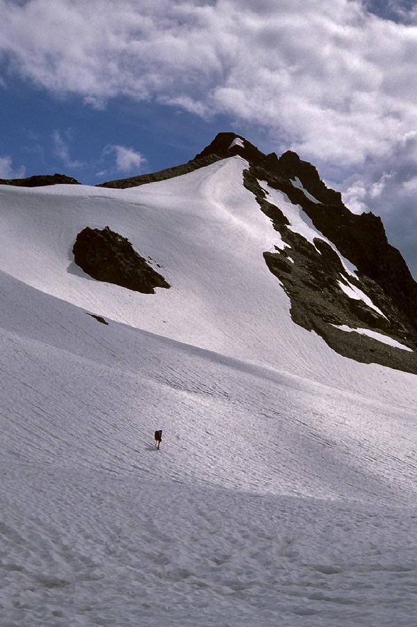 198706208 ©Tim Medley - Dodger Point to Snagtooth Col, Olympic National Park, WA