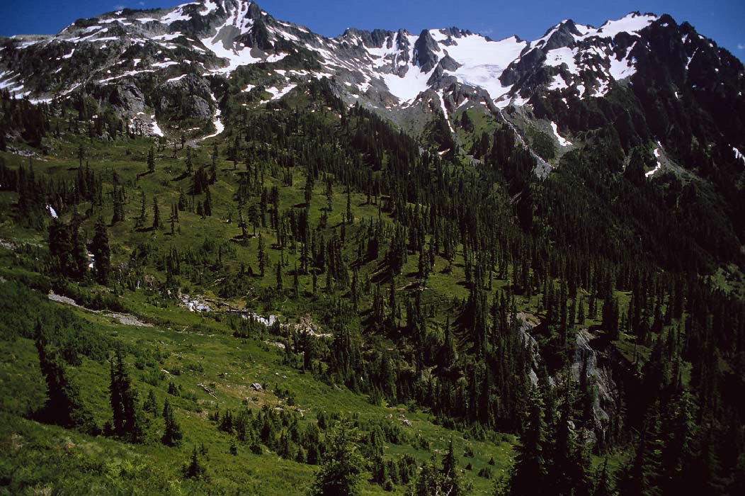 198706228 ©Tim Medley - Queets Basin, Olympic National Park, WA