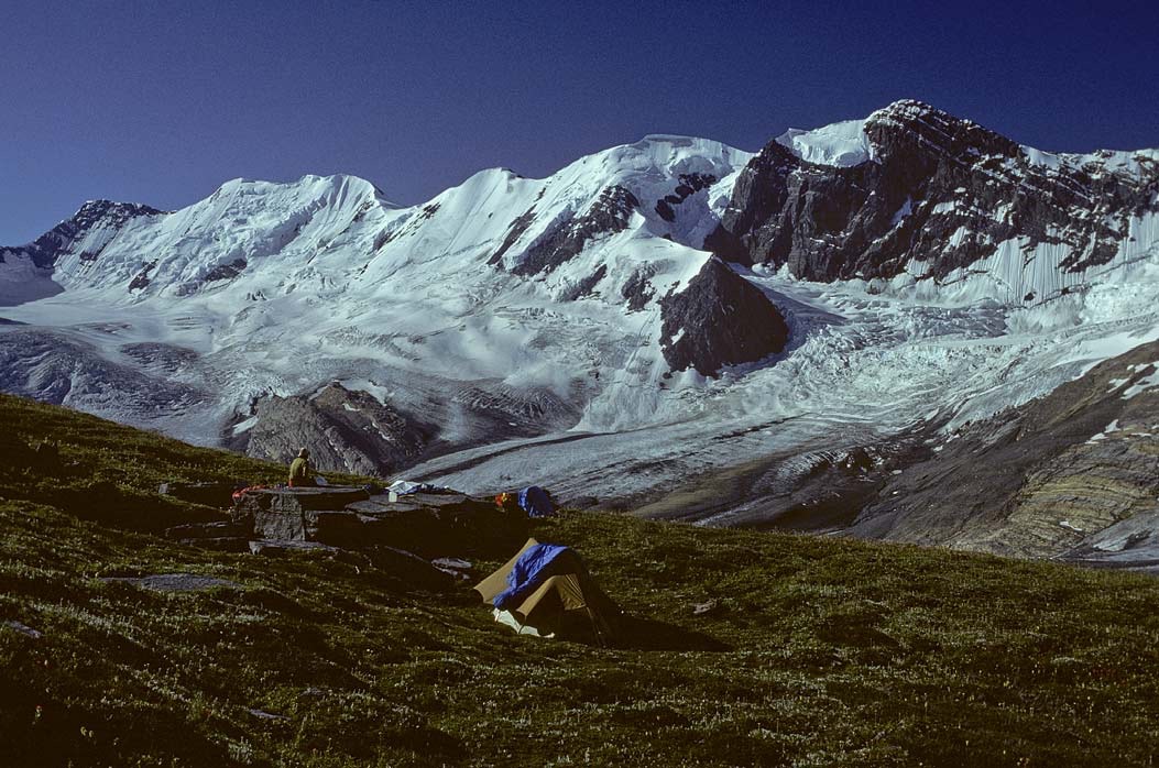 1977CRF22, ©Tim Medley