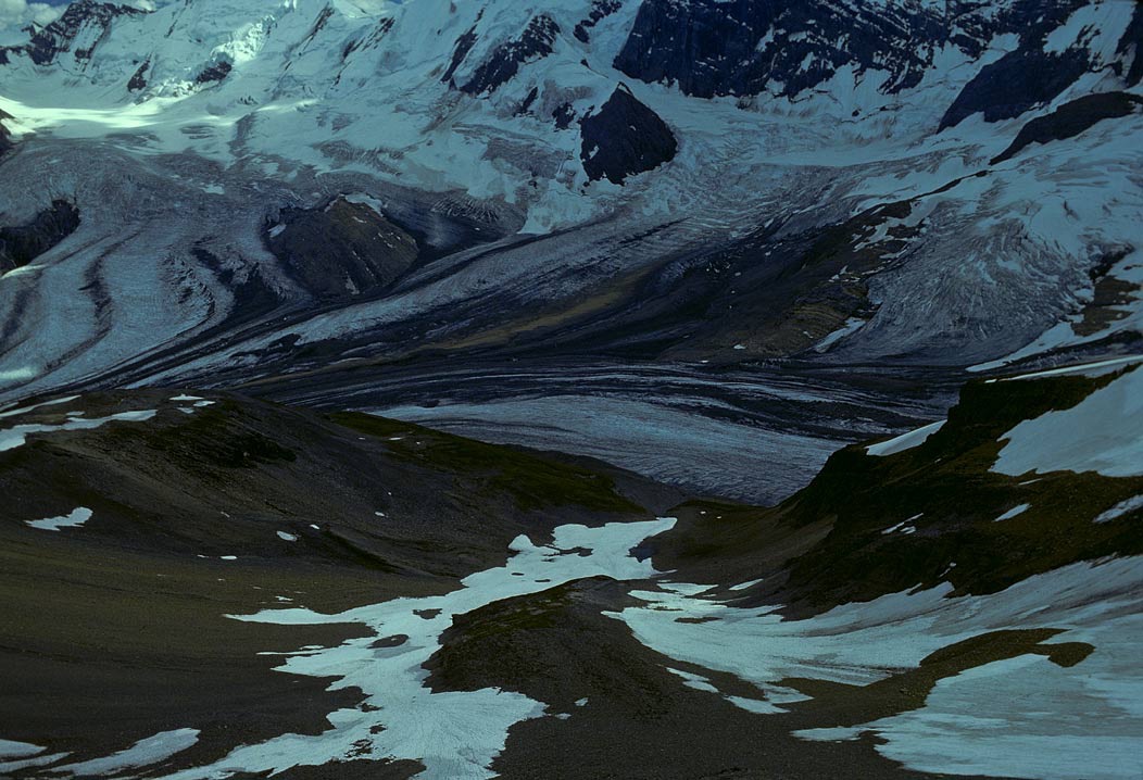 1977CRF25, ©Tim Medley