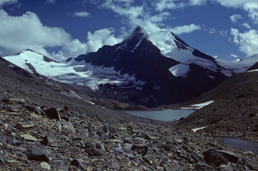 1977CRH36, ©Tim Medley