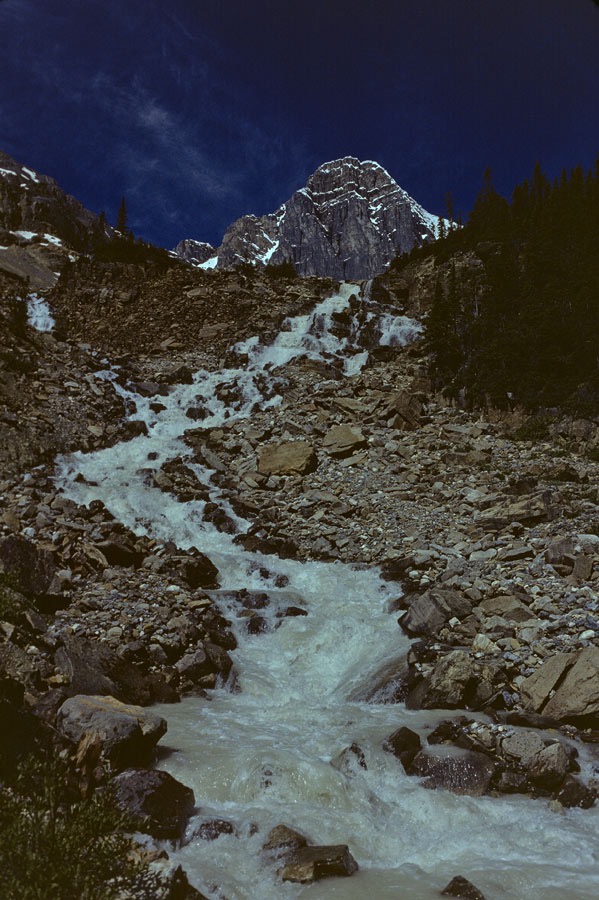 197900130, ©Tim Medley