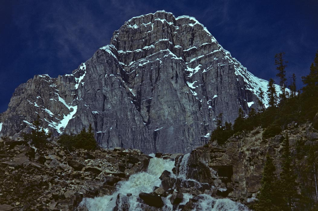 197900131, ©Tim Medley