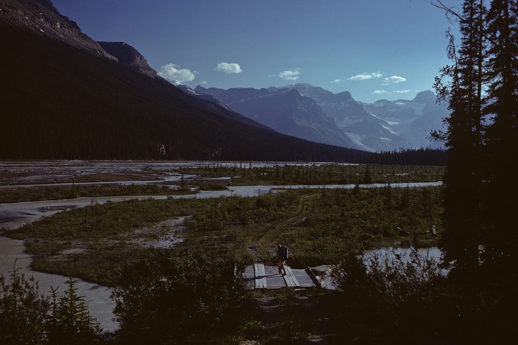 197900224, ©Tim Medley