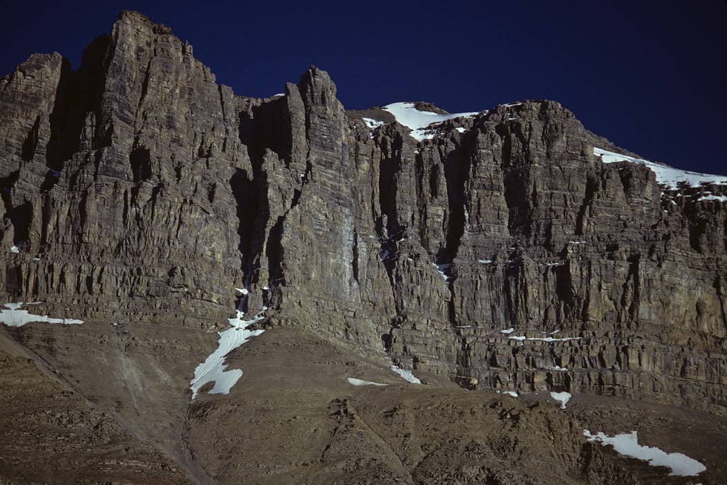 197900231, ©Tim Medley