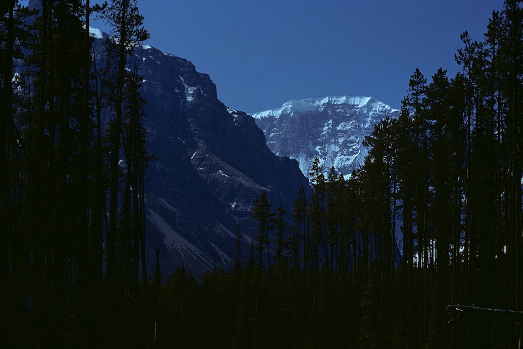 197900304, ©Tim Medley