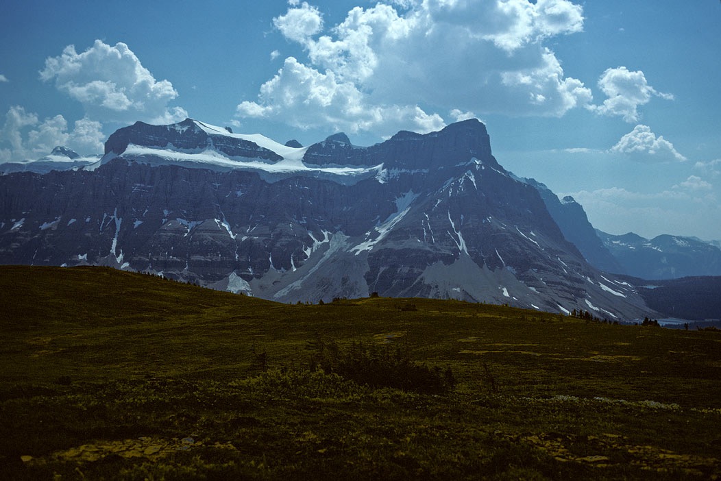 197900402, ©Tim Medley