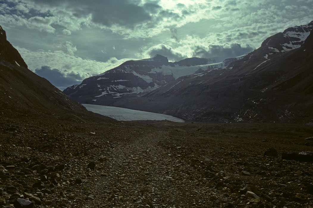 197900812, ©Tim Medley