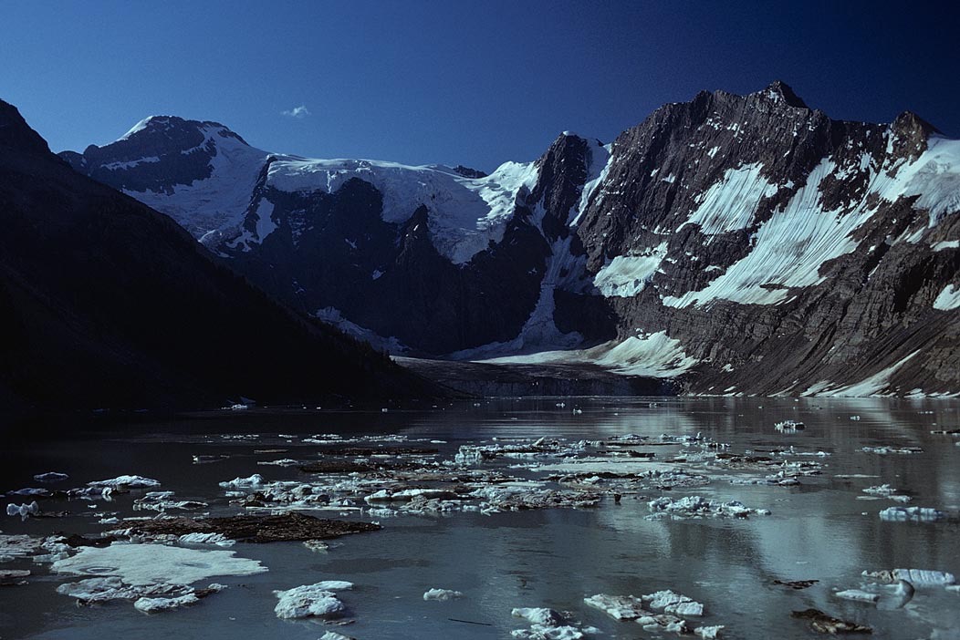 197900730, ©Tim Medley