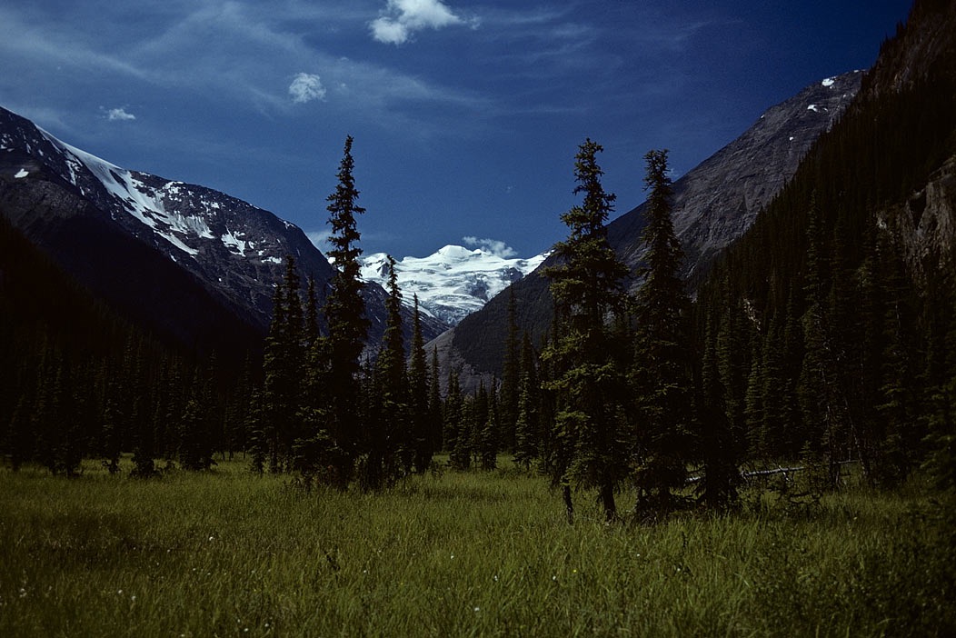 197900811, &copy;Tim Medley