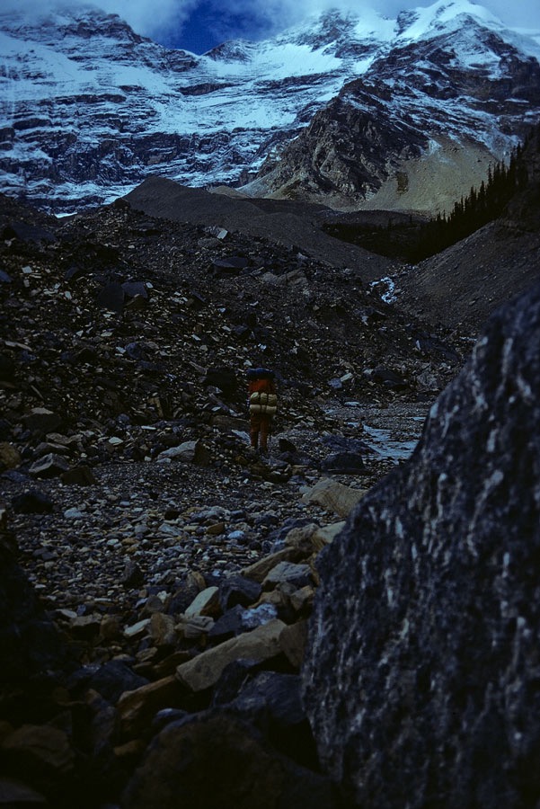 1981C00119, ©Tim Medley