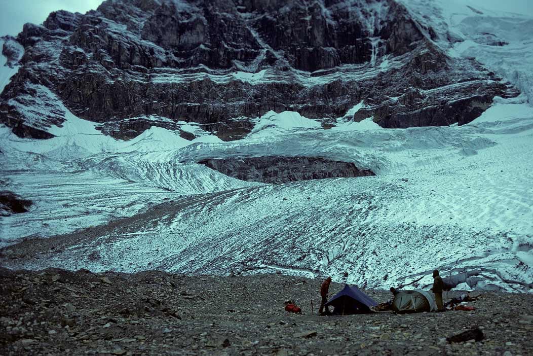 1981C00128, ©Tim Medley