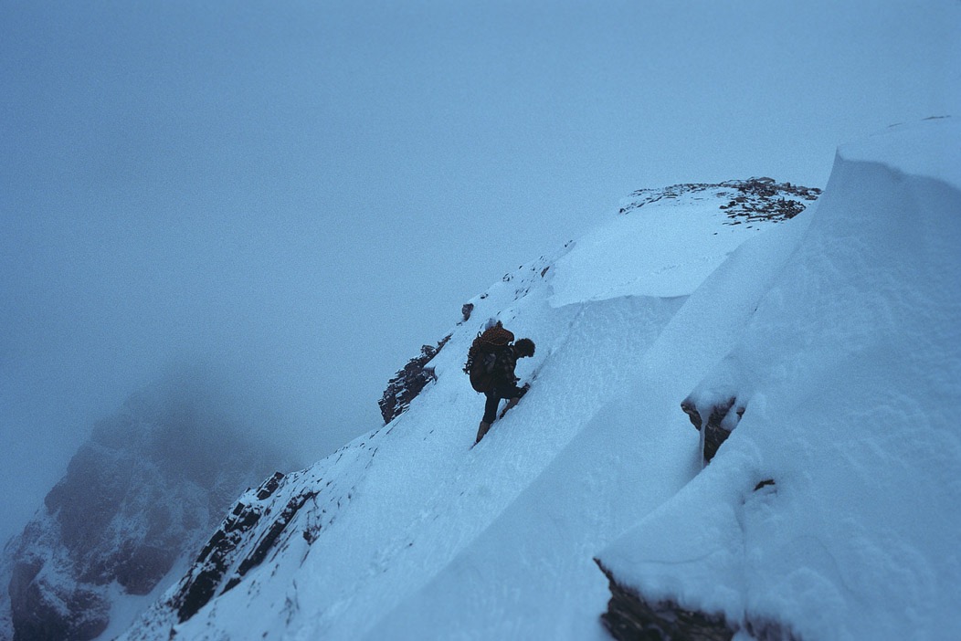 1981C00136, ©Tim Medley