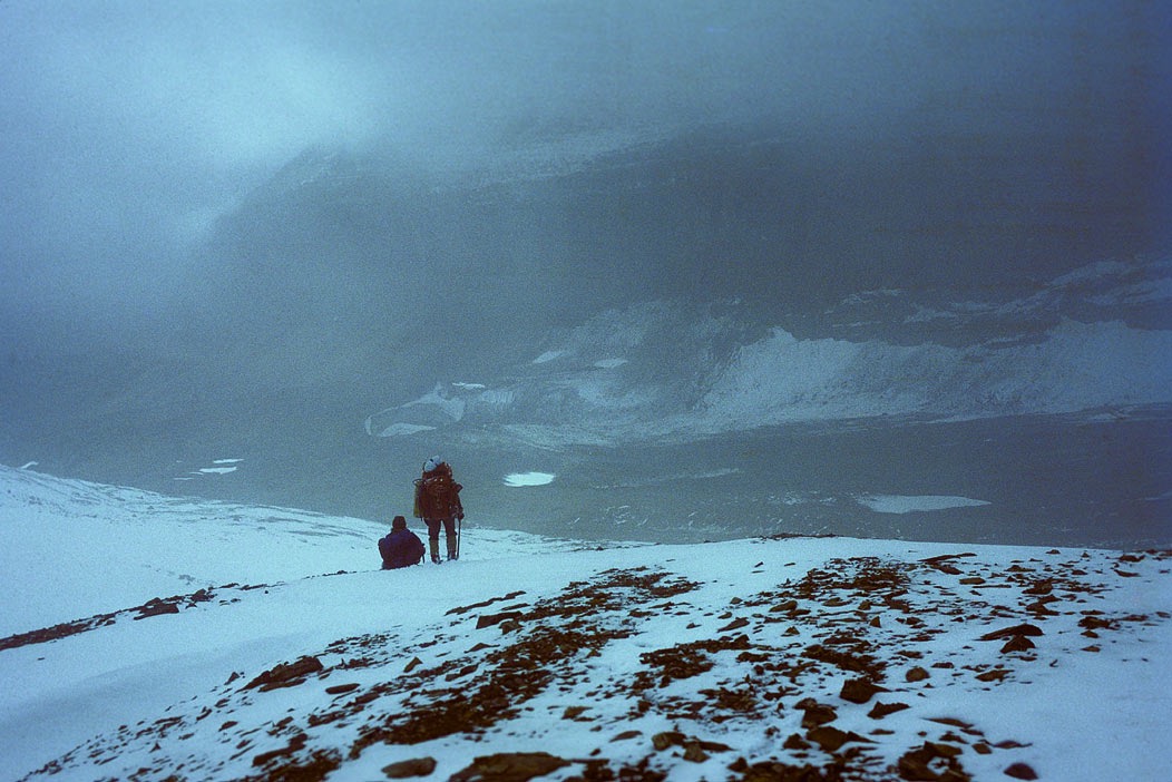 1981C00137, ©Tim Medley