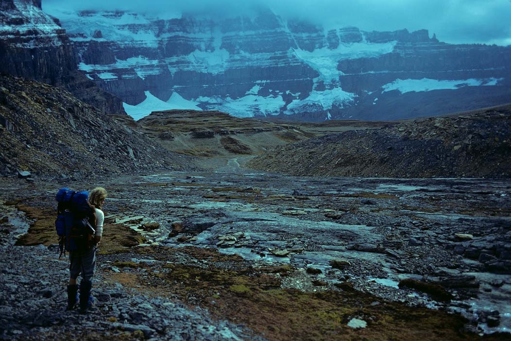 1981C00208, ©Tim Medley