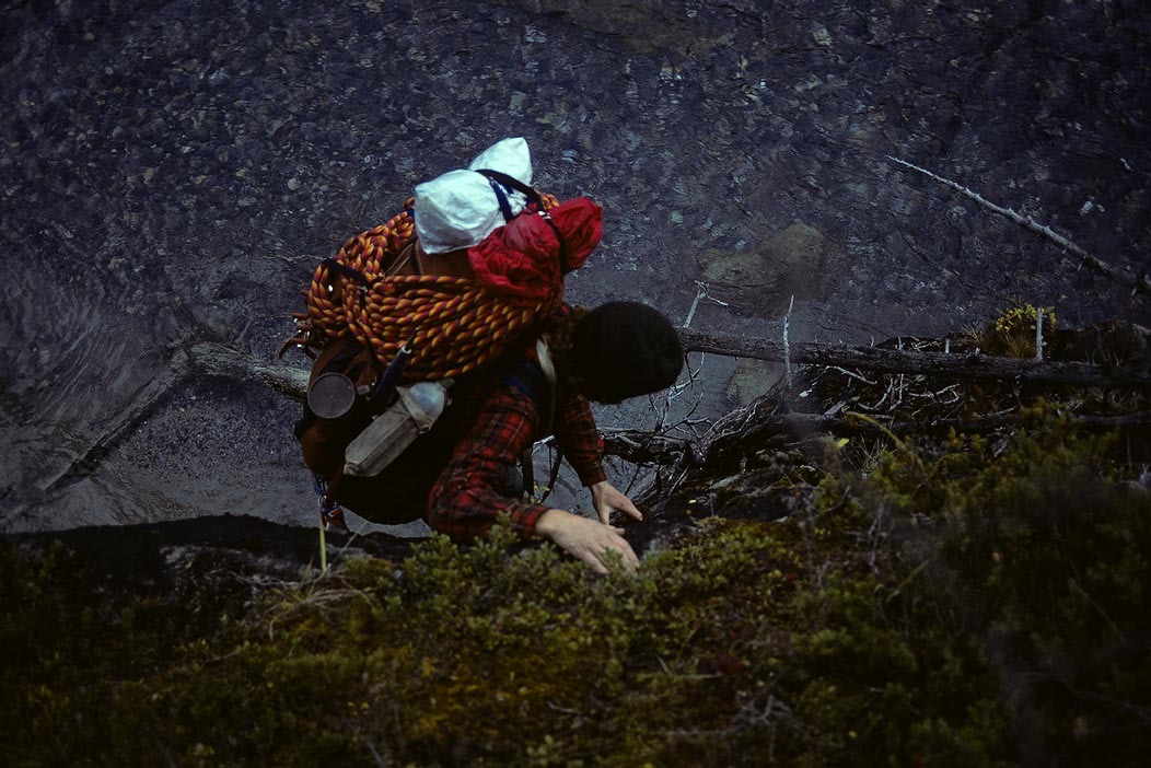 1981C00318, ©Tim Medley