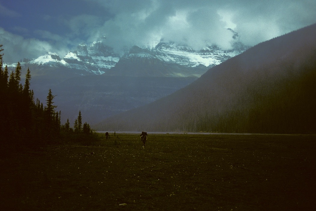 1981C00329, ©Tim Medley