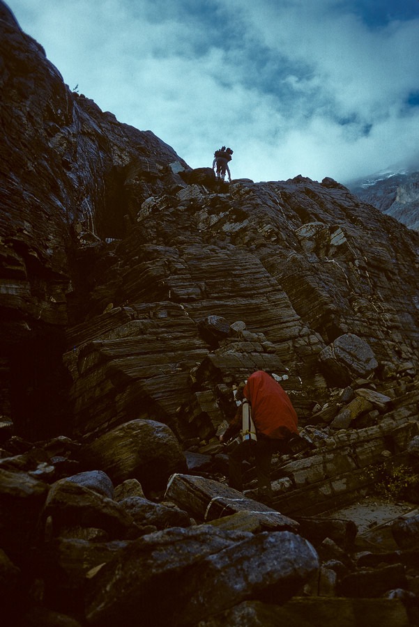 1981C00336, ©Tim Medley