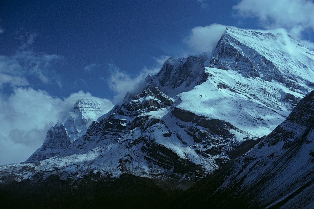 1981C00424, ©Tim Medley