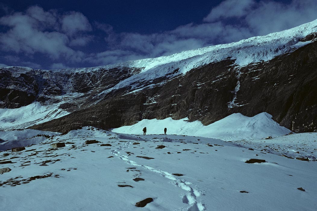 1981C00502, ©Tim Medley