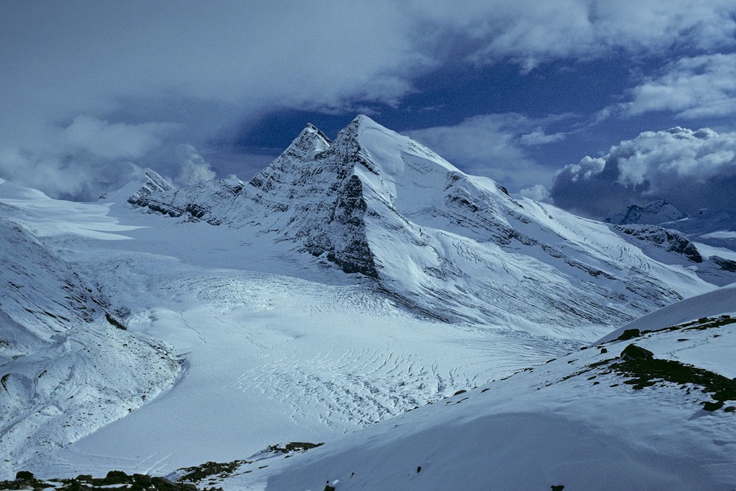 1981C00516, ©Tim Medley