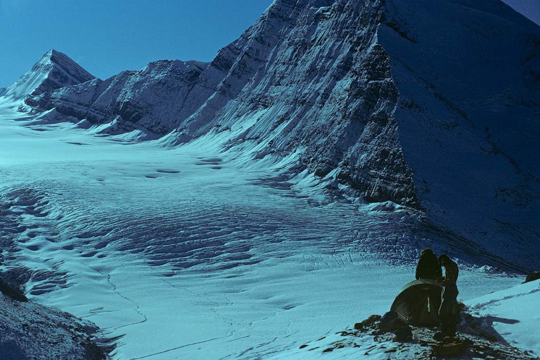 1981C00522, ©Tim Medley