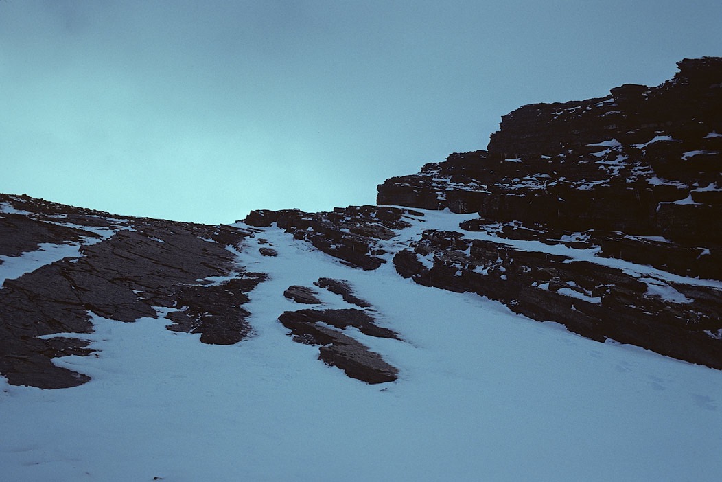 1981C00531, ©Tim Medley