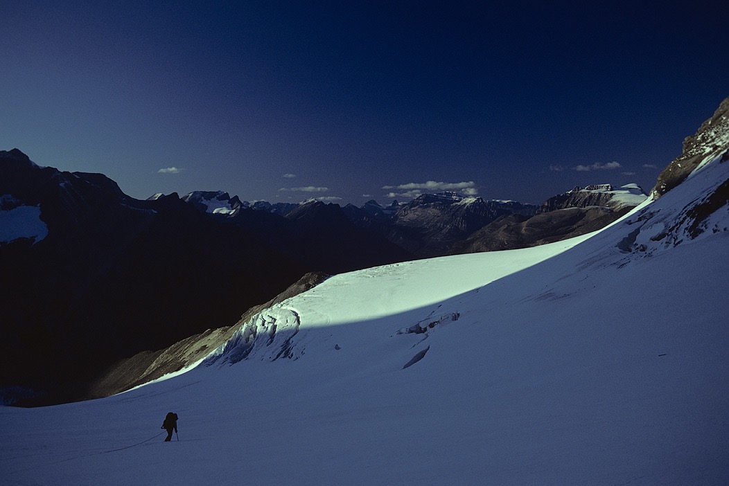 1981C00533, ©Tim Medley