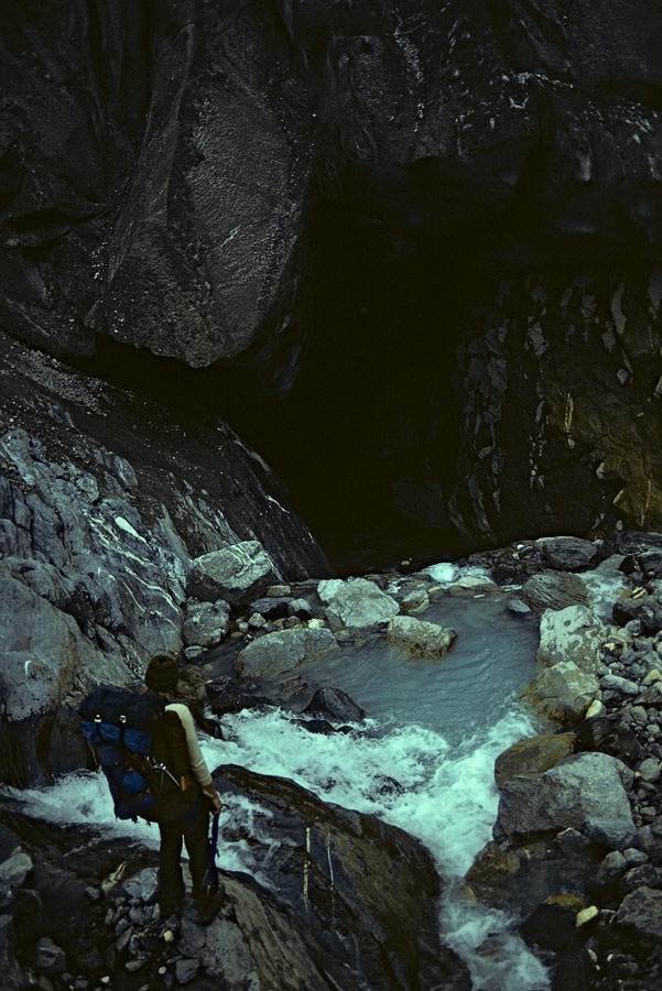 1981C00625, ©Tim Medley